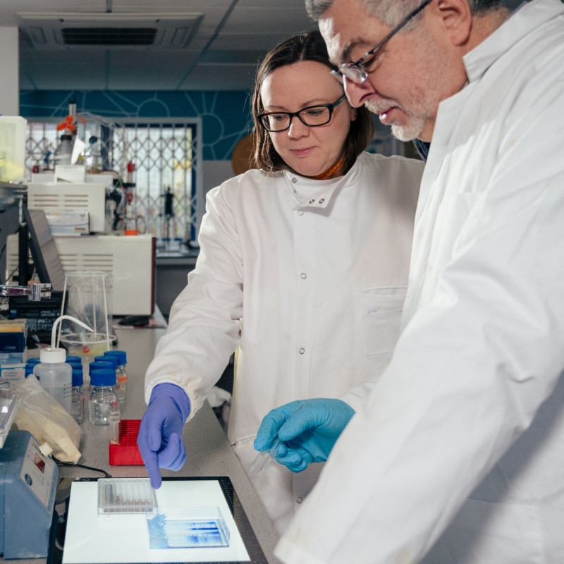 Rosie and Leo in the BIT lab